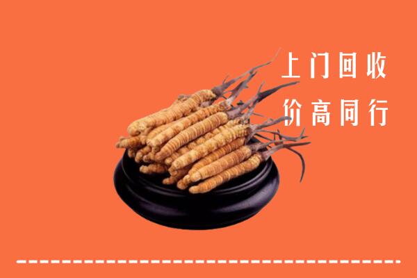 高价求购：日照岚山回收散虫草
