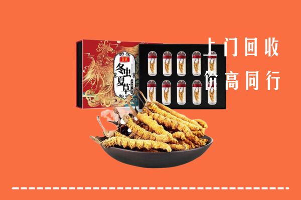 日照岚山回收虫草